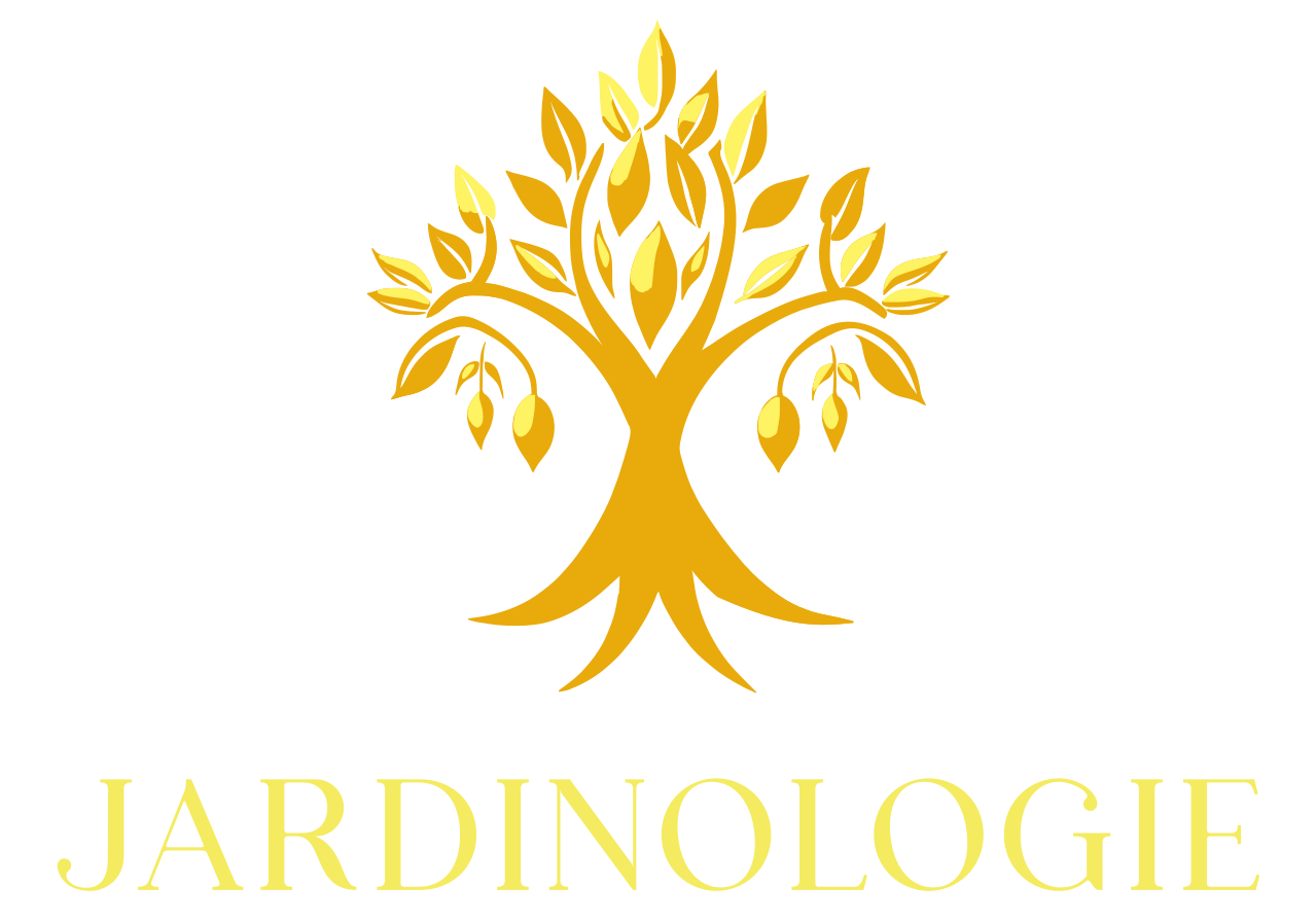 fulllogo transparent