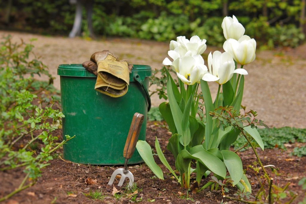 spring